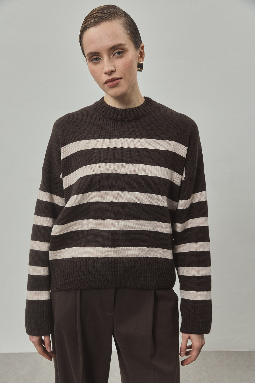 Жіночий джемпер Stimma Фростем, фото 1 