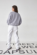 Жіночий світшот Stimma Барсеній, колір - світло сірий
